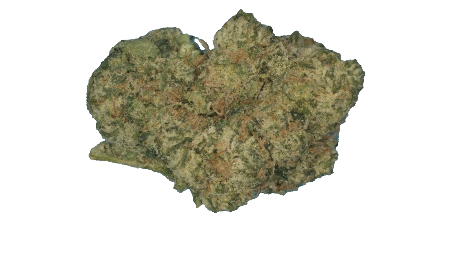 Lemon Sour