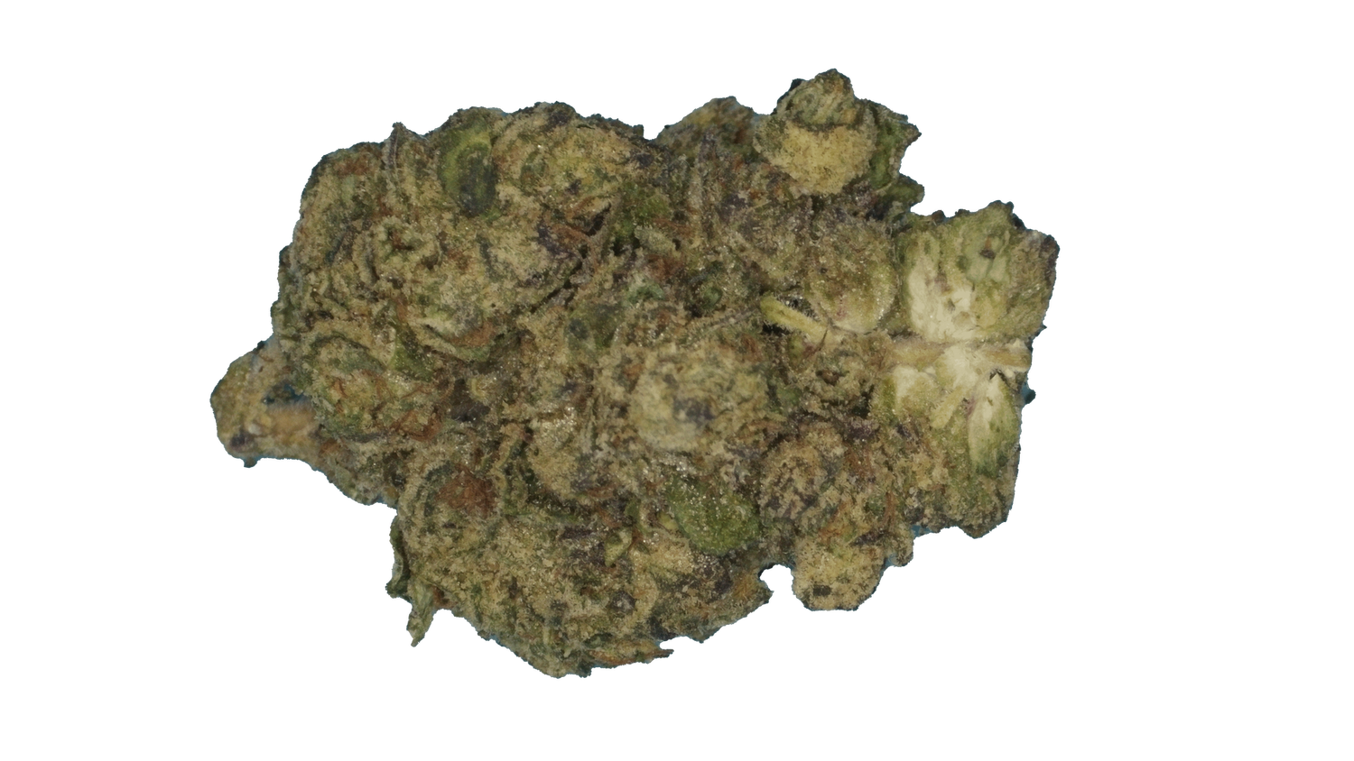 Cherry Banger