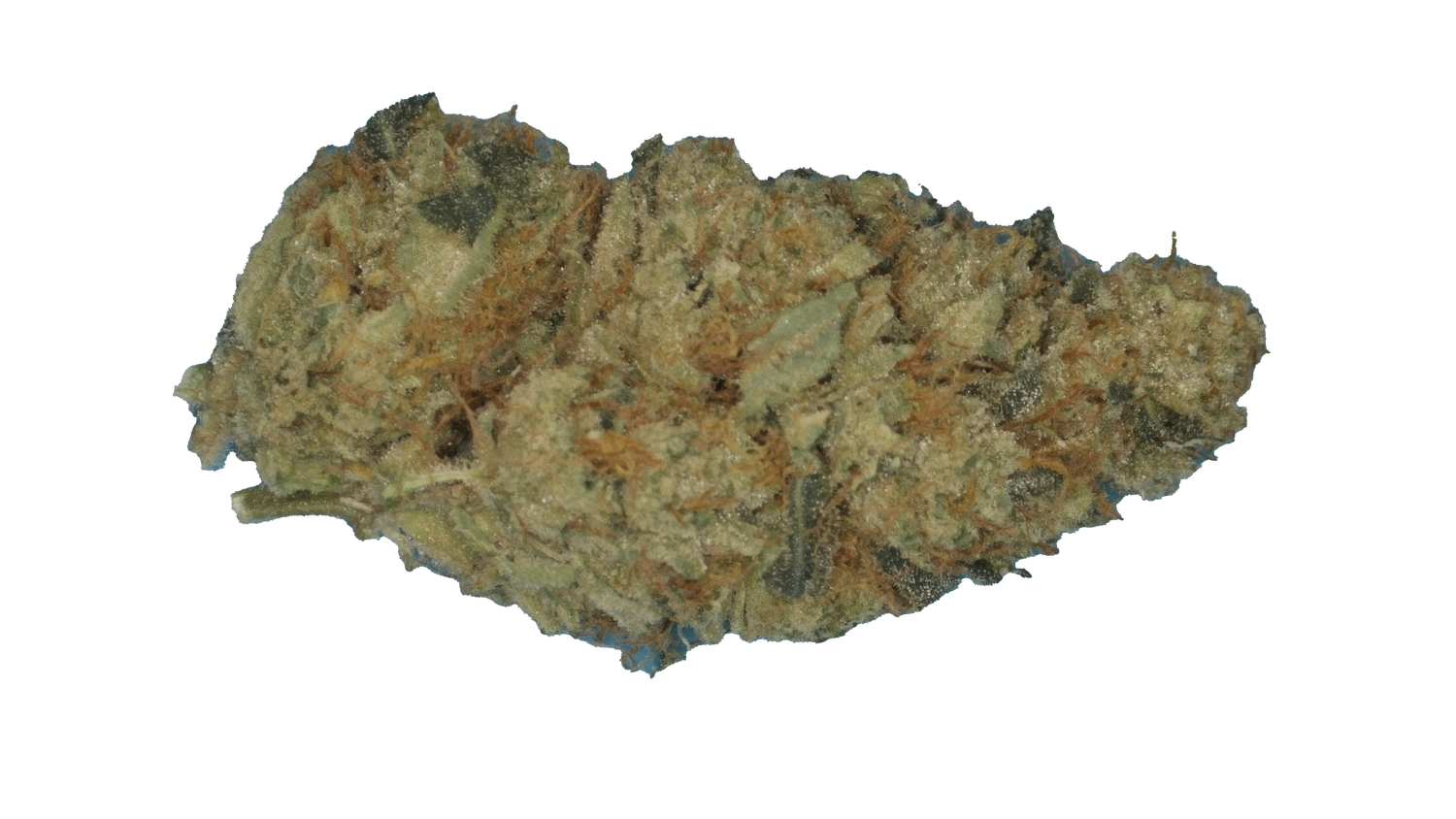 Za-Burst