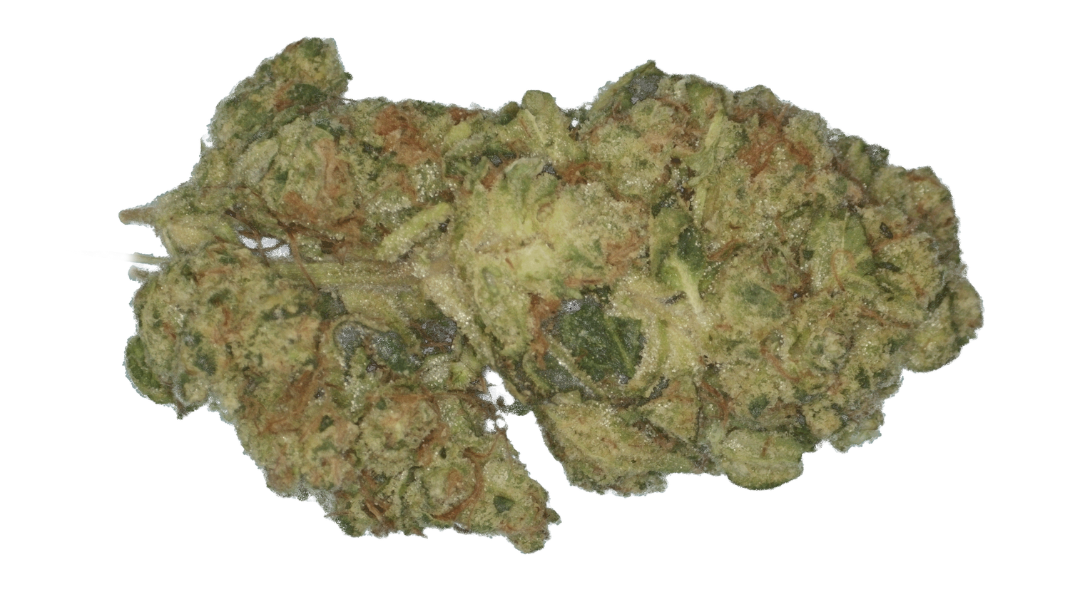 Fatso Kush-Laredo