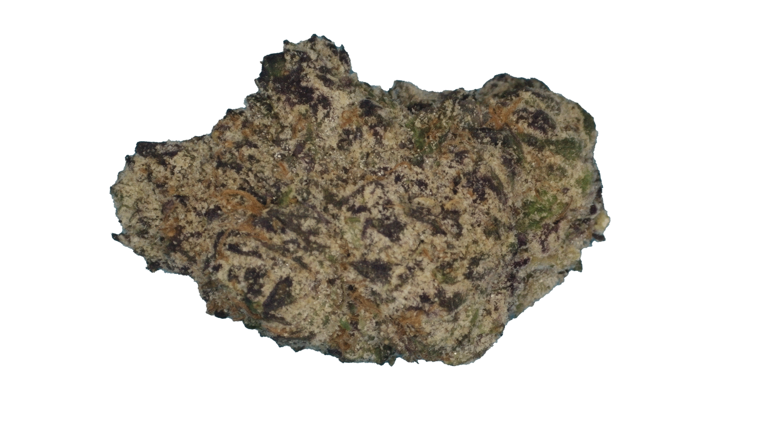 Blue Nerds-Laredo