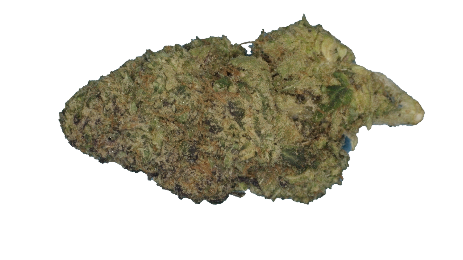 East Bay LCG