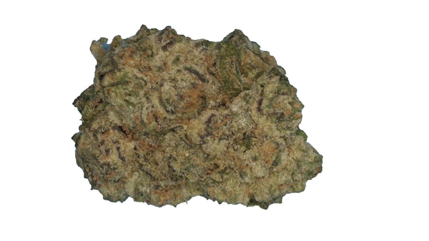 Brain Juice