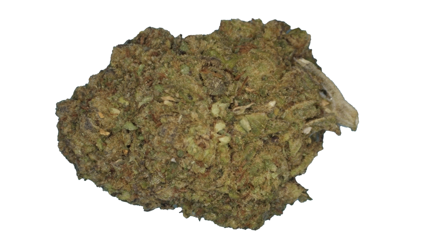 LCG - $15 3.5