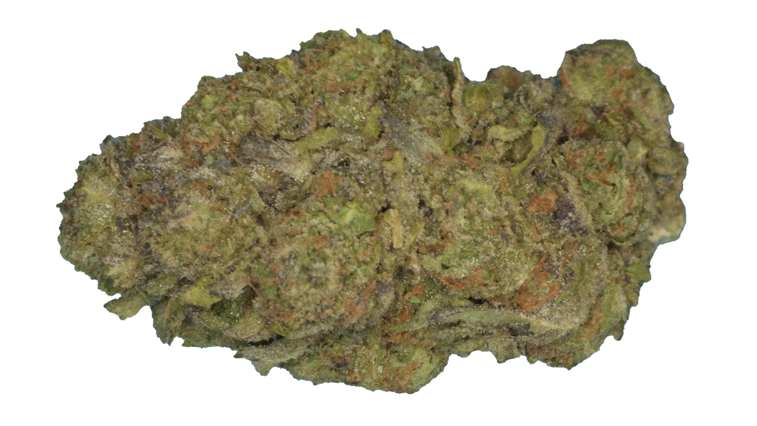 Gelato 41 - $15 3.5