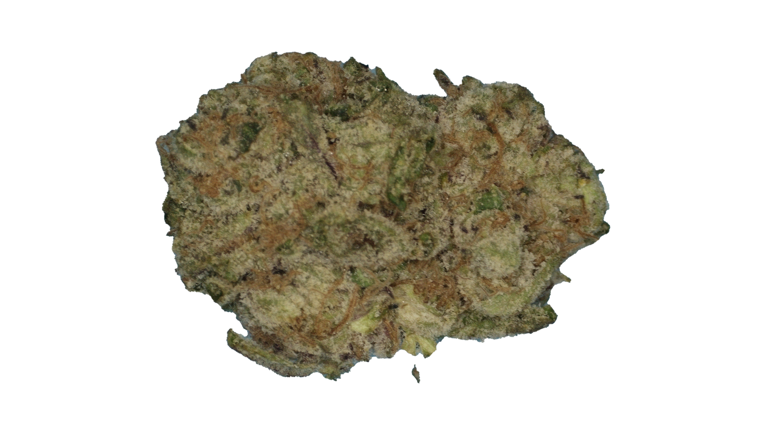 Biscotti Runtz - $15 3.5
