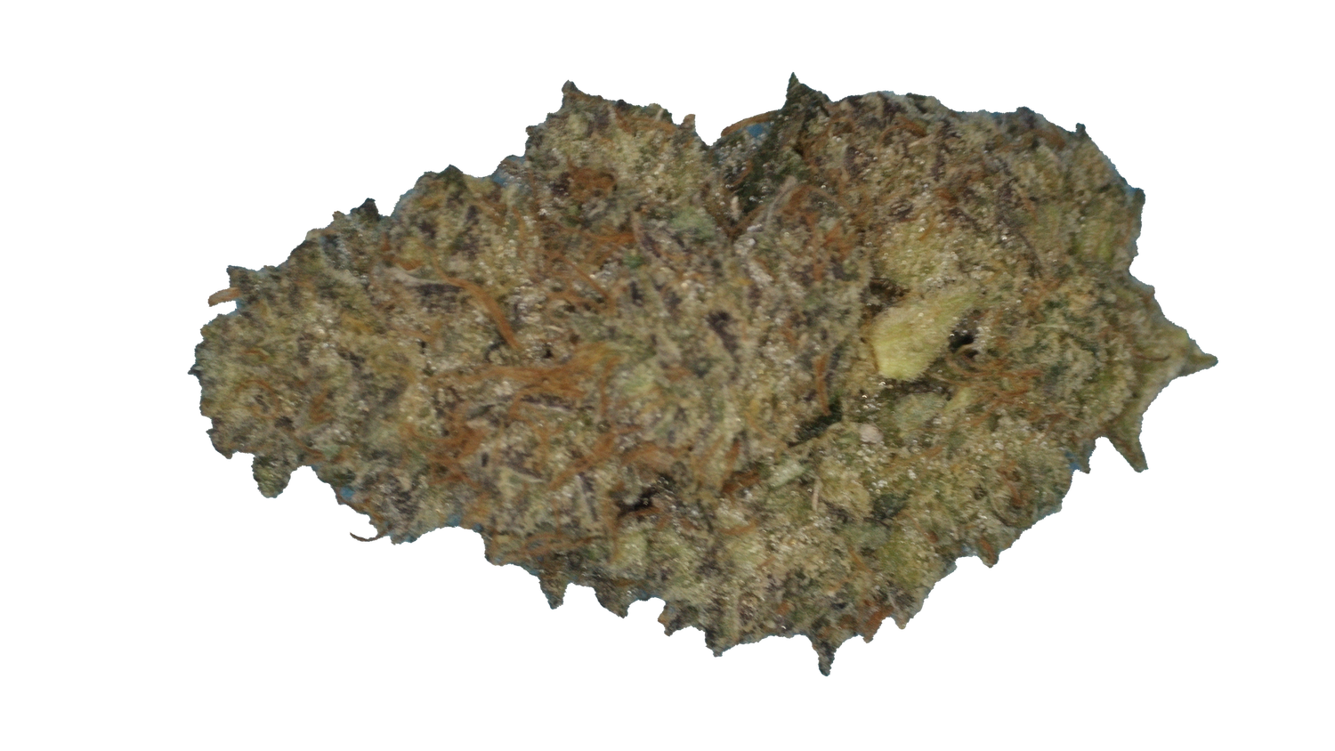 Afgani Kush