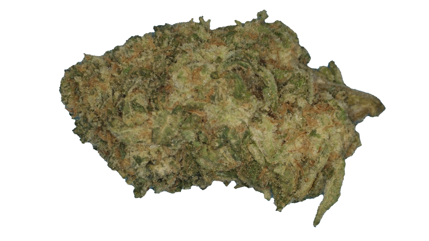Clementine Z