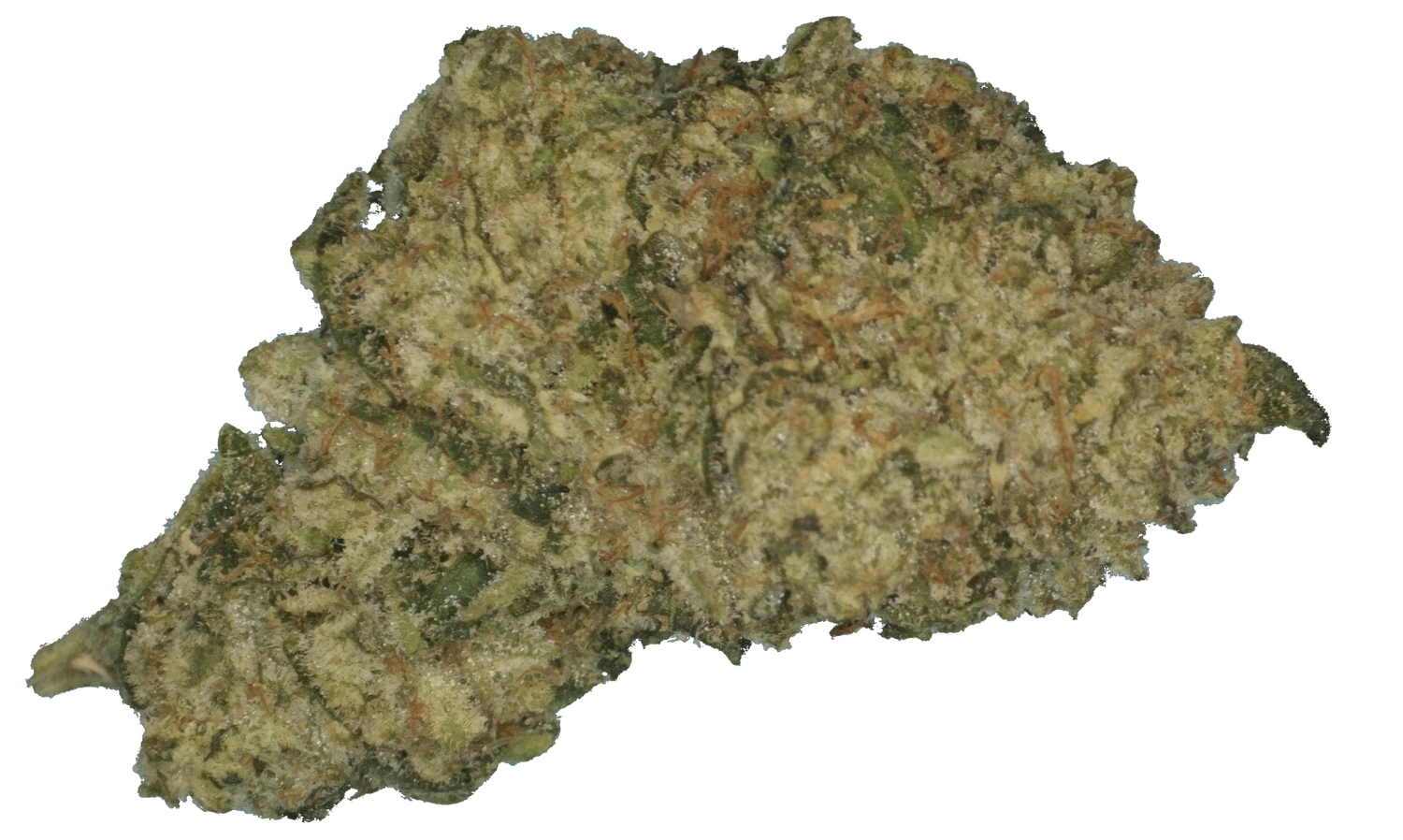 Kush Mountains