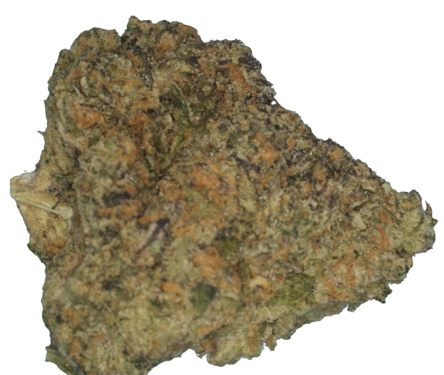 Sour Cookies