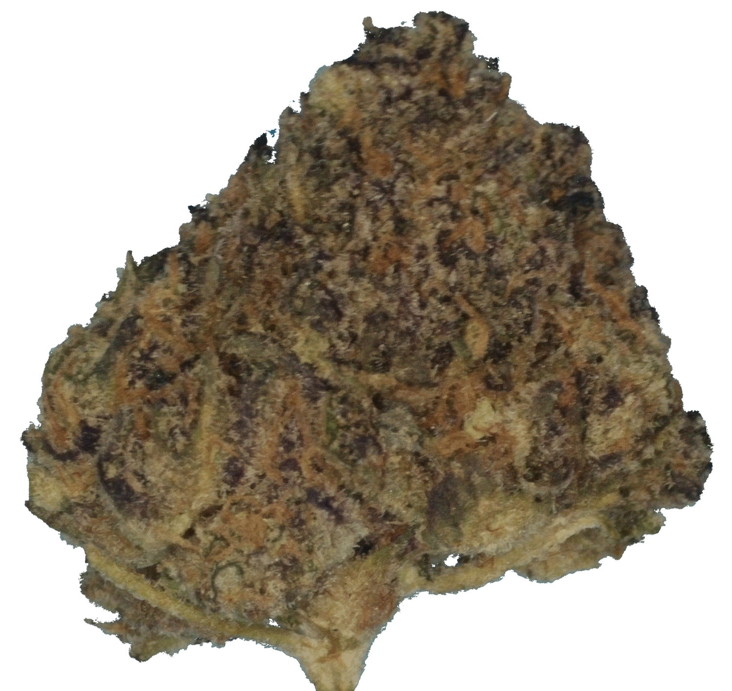 PieZ - Preroll
