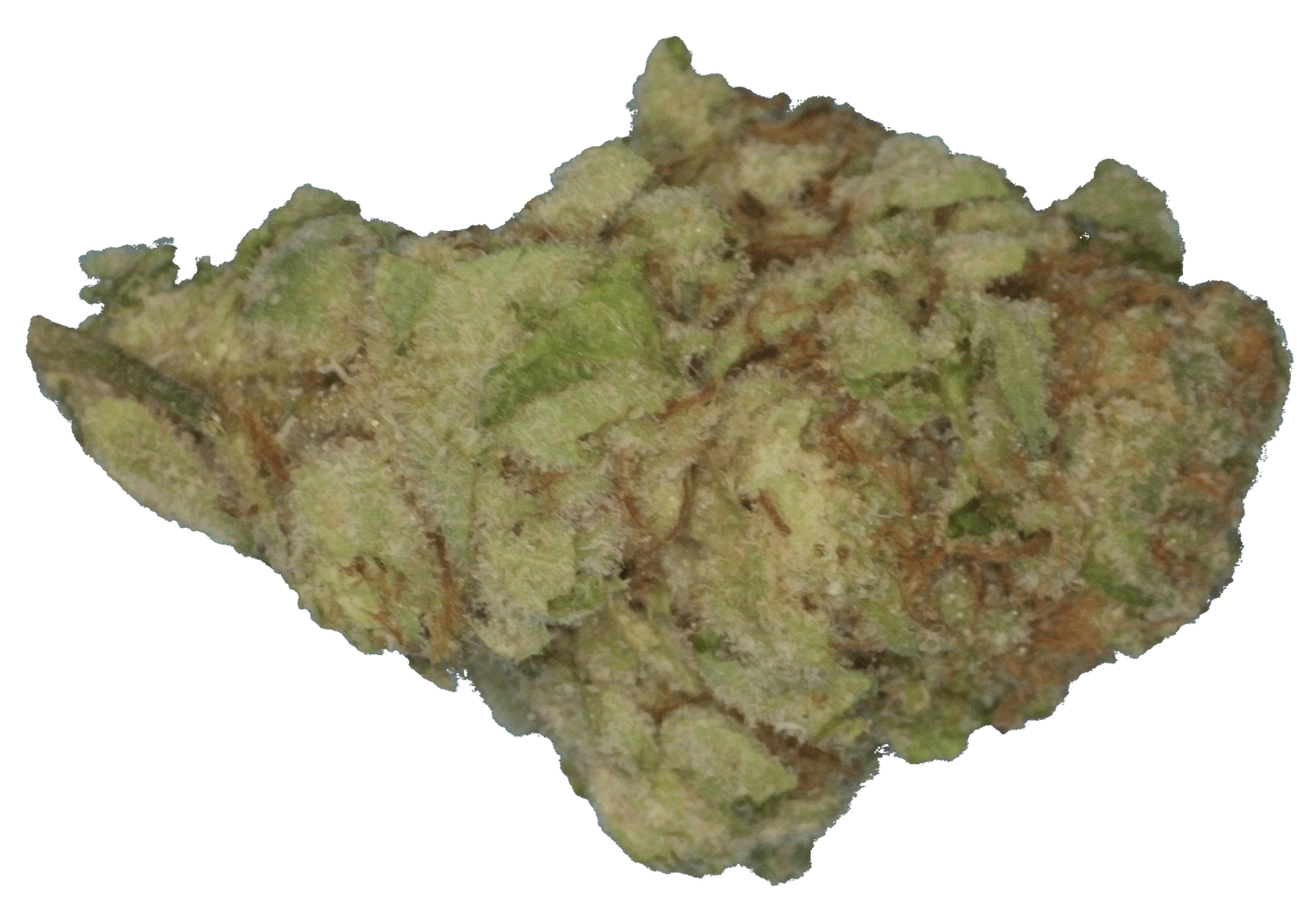 Gassy Guava - Preroll