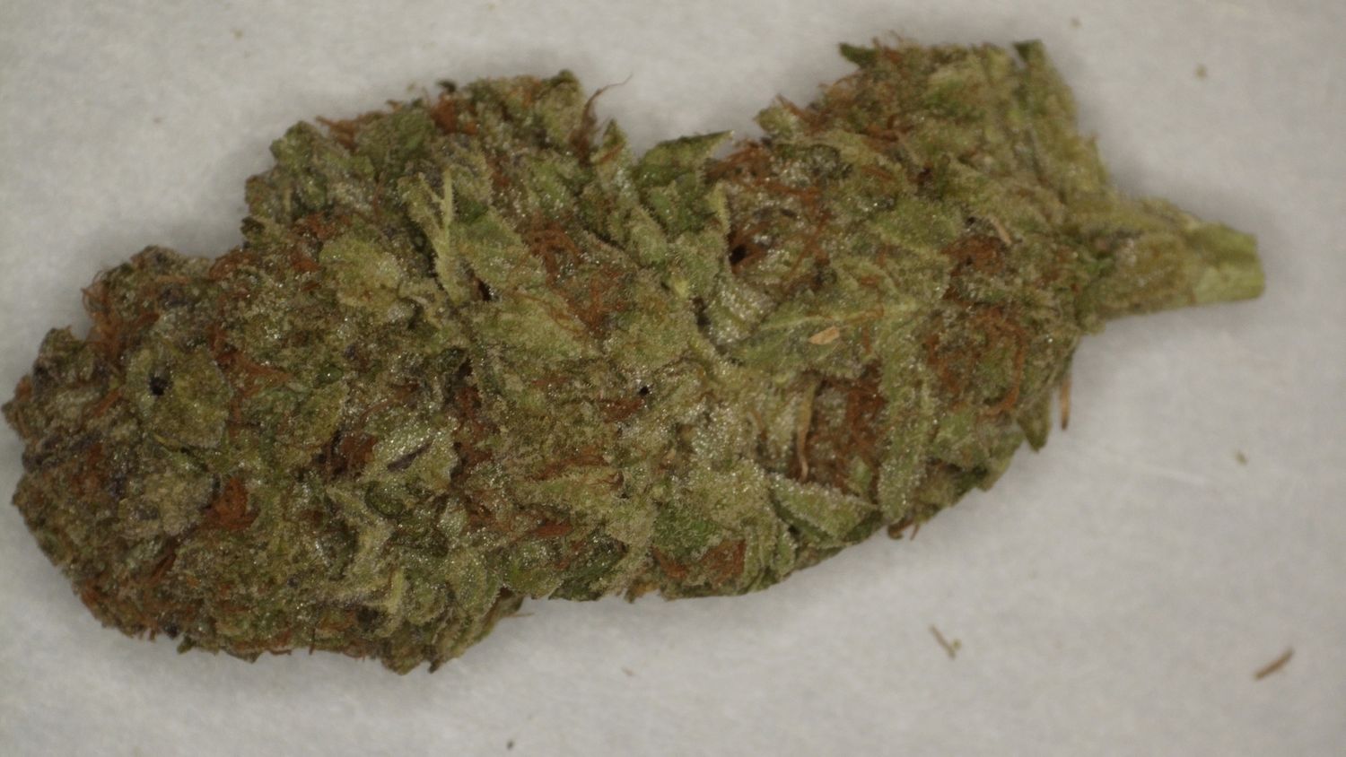 Blue Dream LL