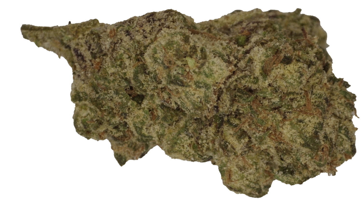 Nerdz ( Indoor ) LL