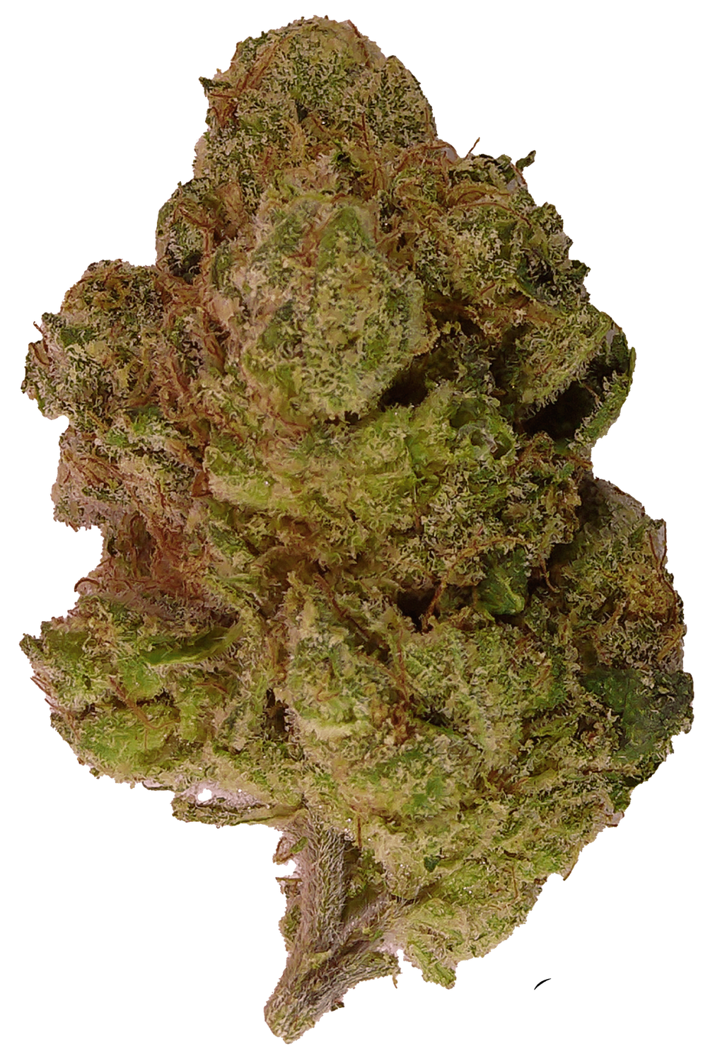 SFV OG