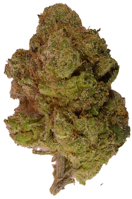 SFV OG