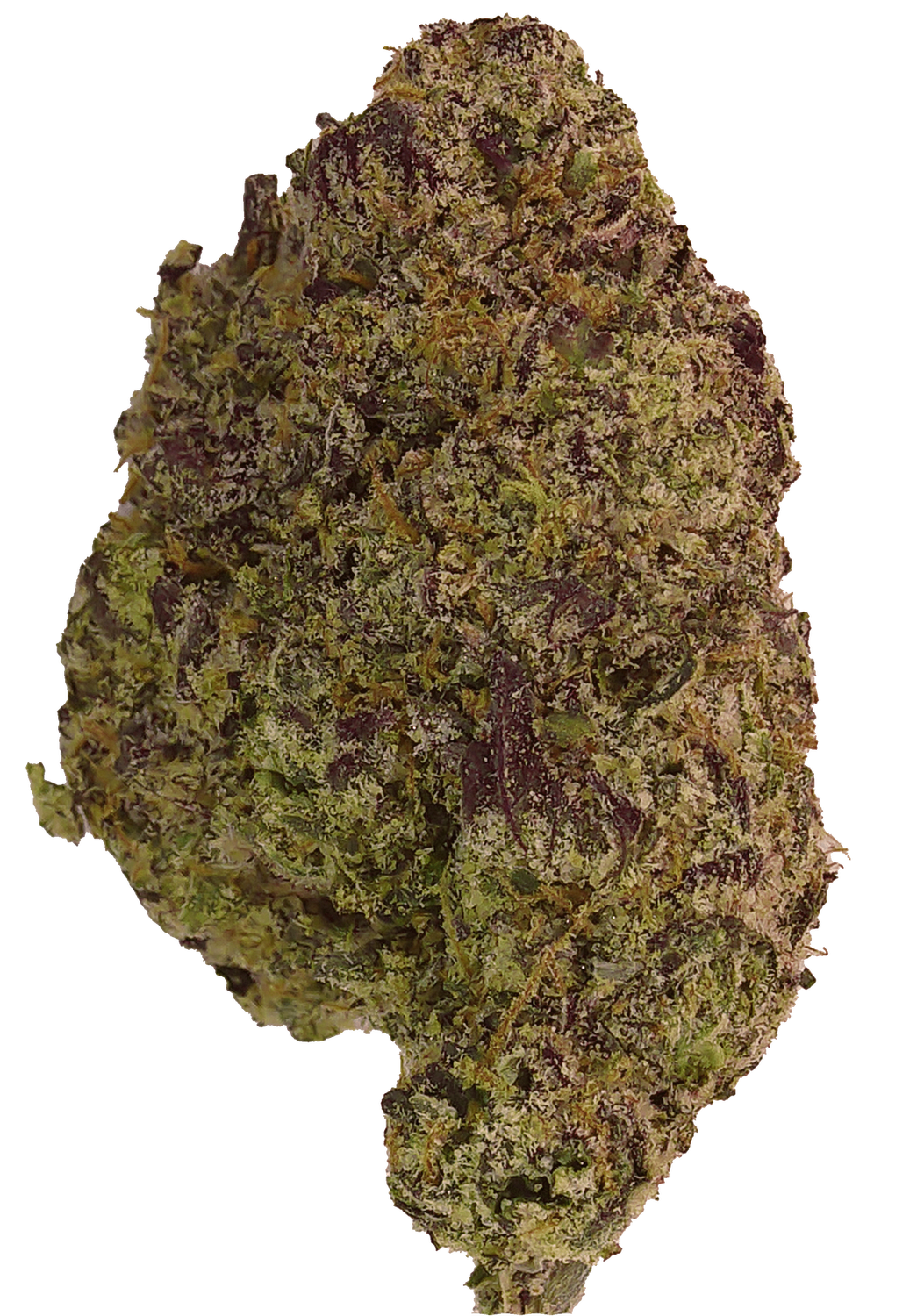 Sour Cookies