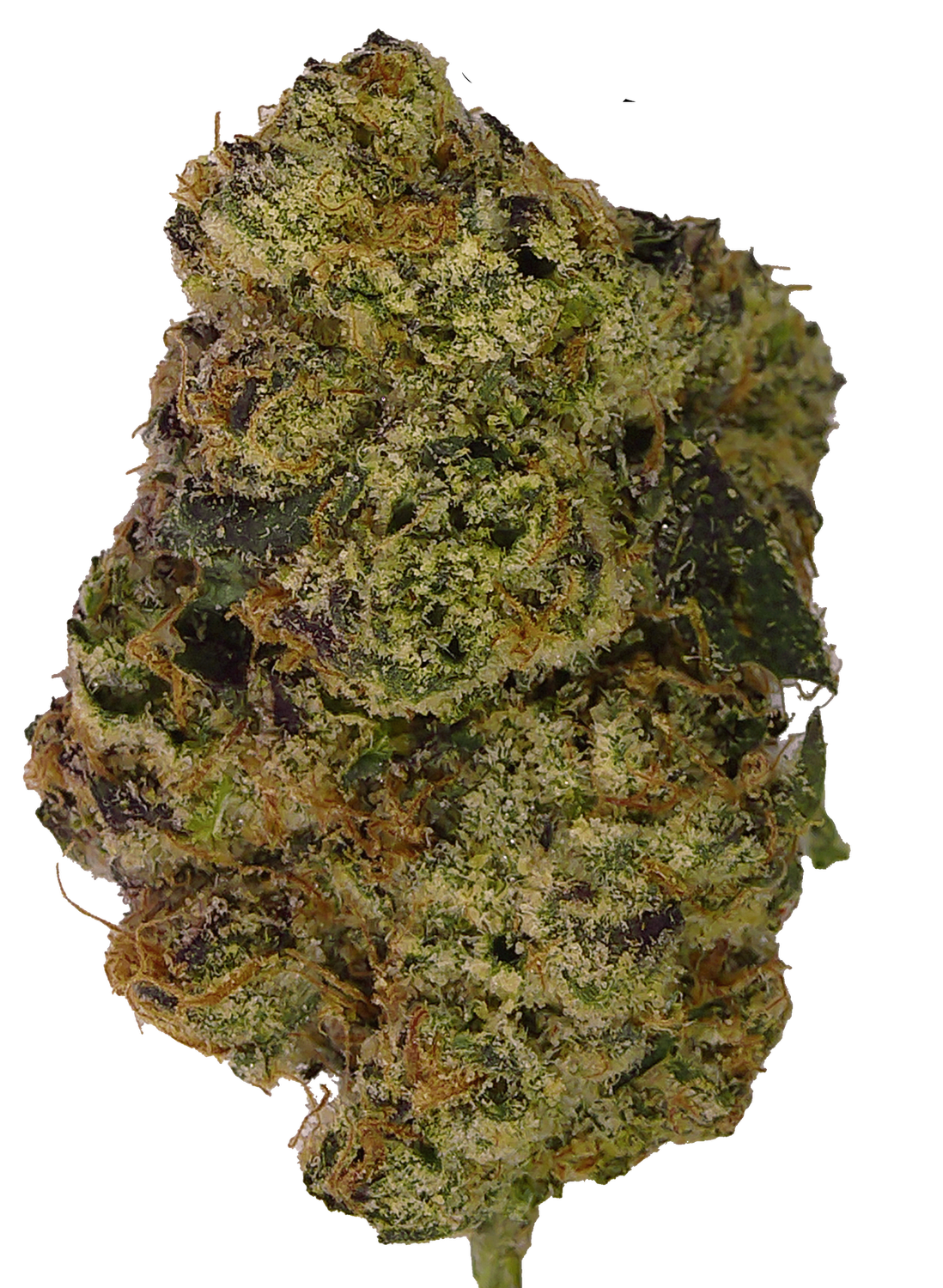 Cherry Flesh