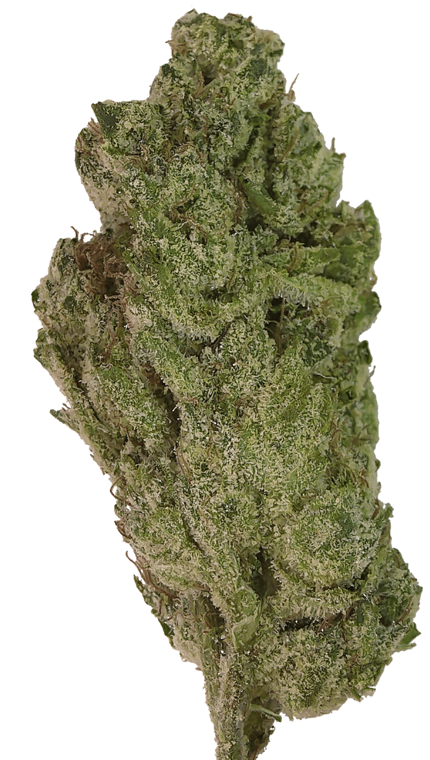 Tahoe OG