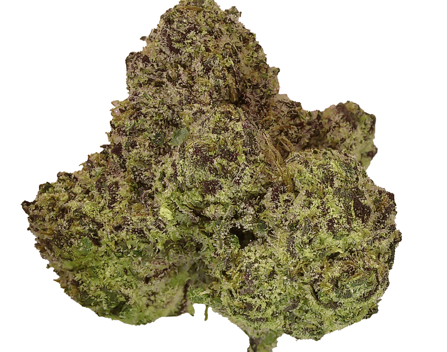 Nerdz LoudLock
