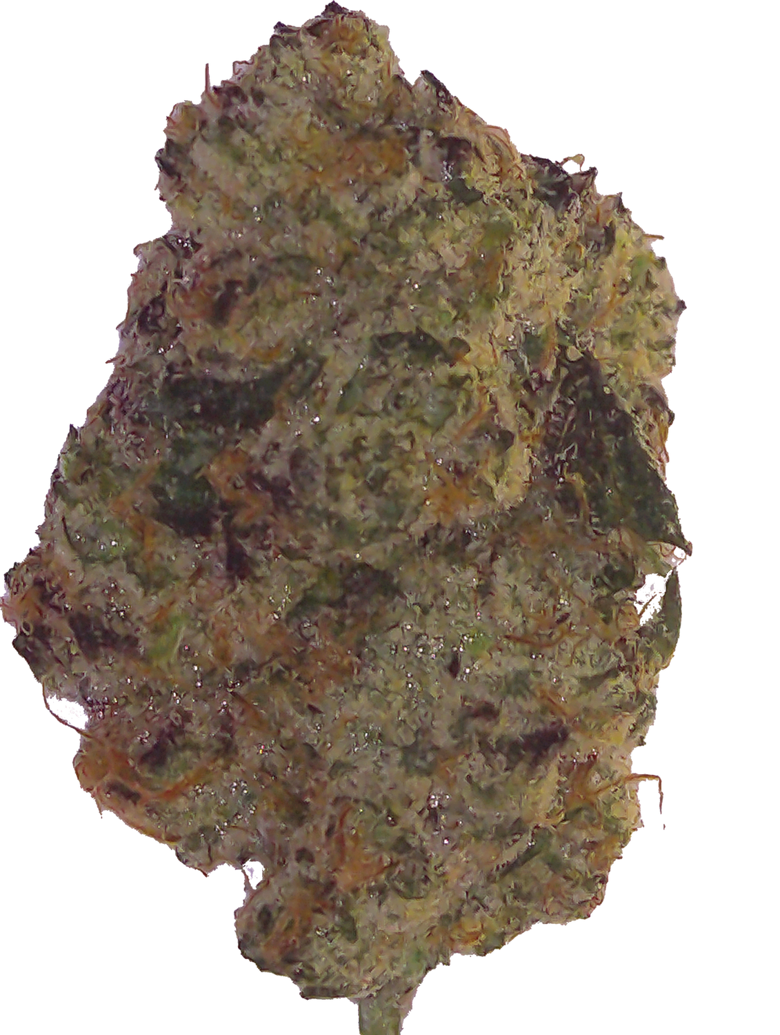 Nerdz LoudLock