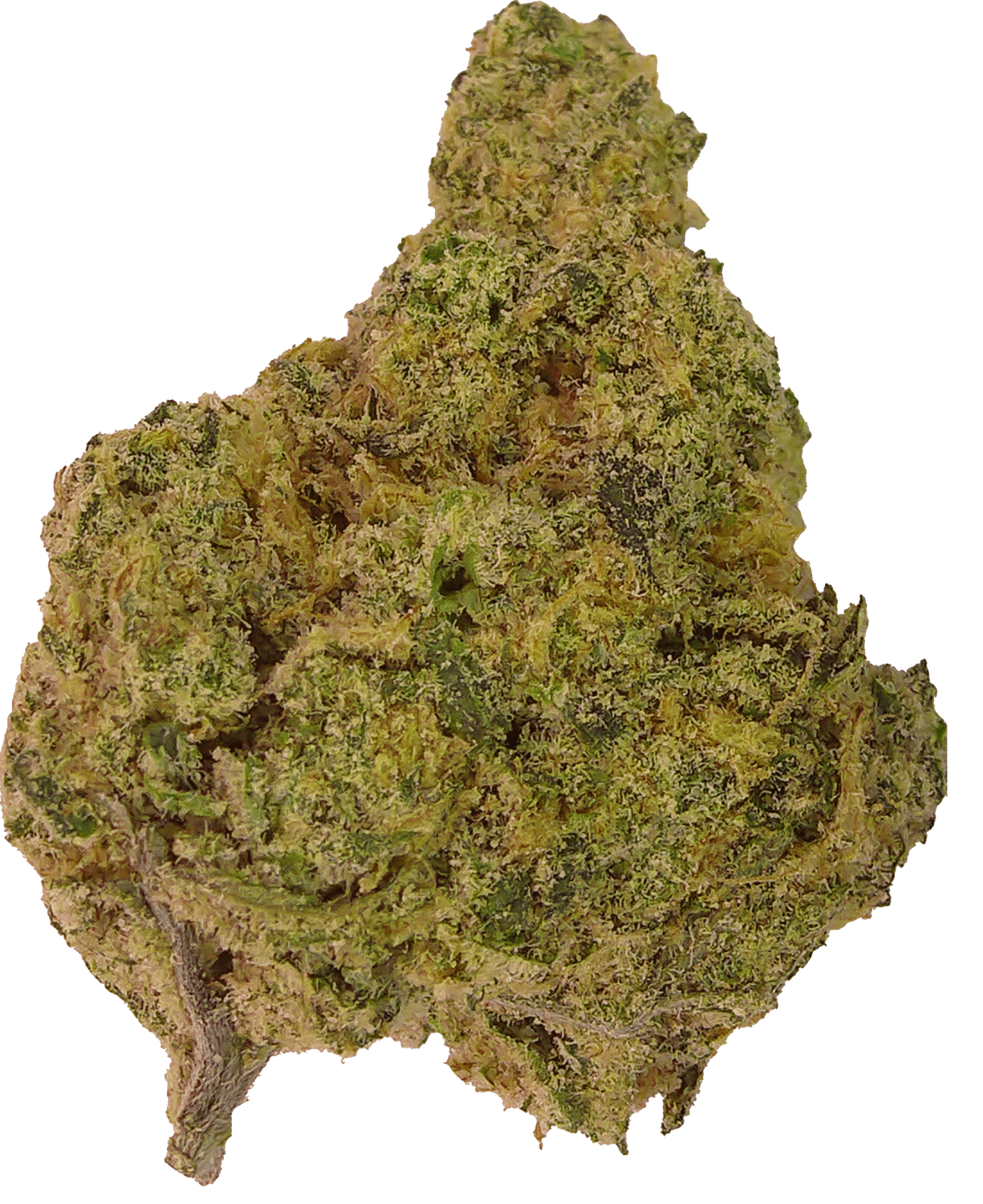 Blue Dream LL