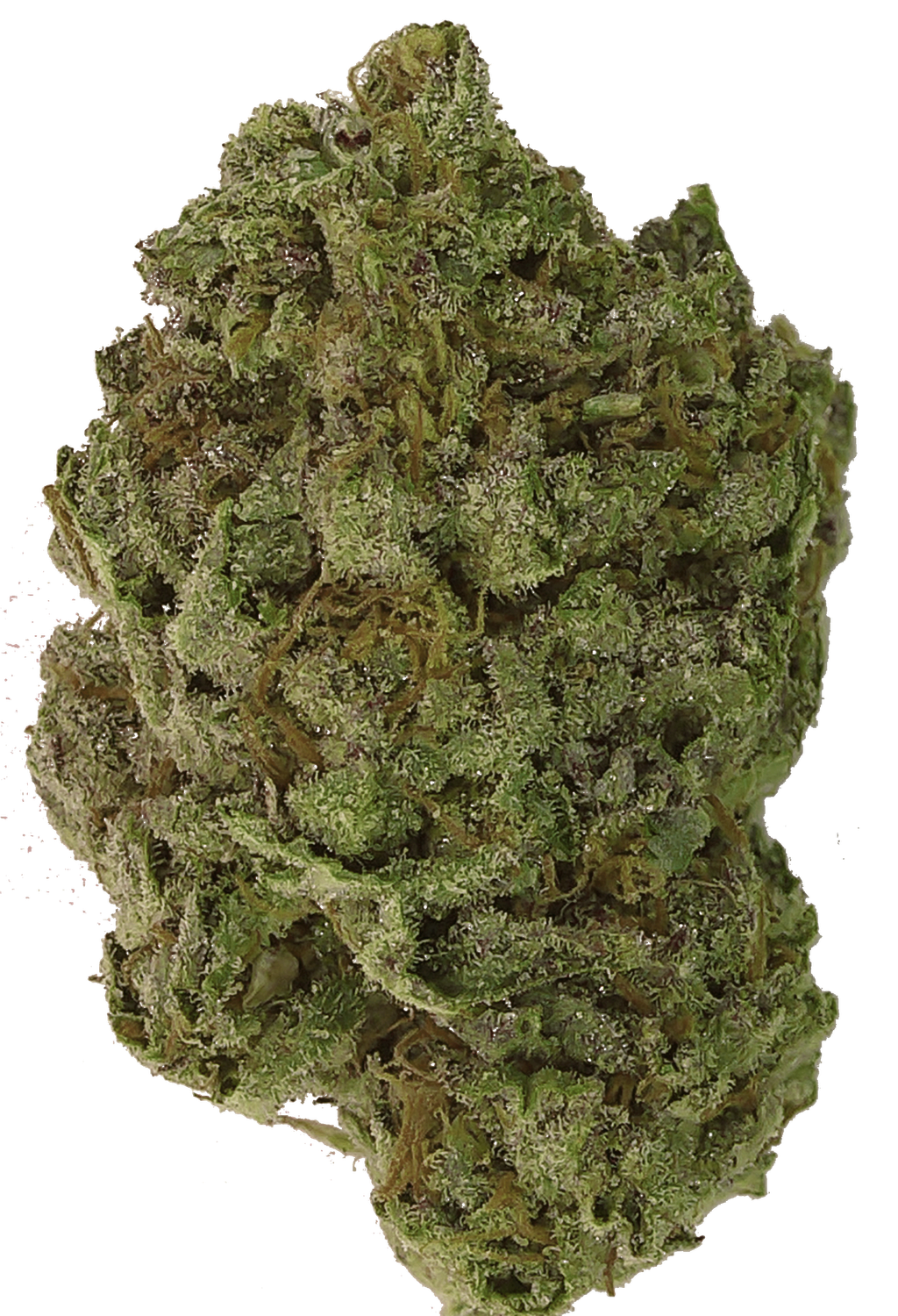 Purple Master Bubba - $15 3.5