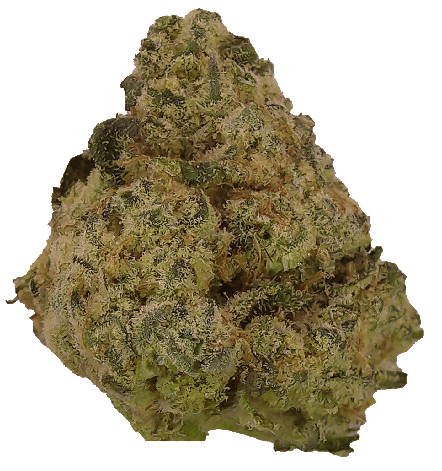 MD - PINEAPPLE EXPRESS - LL SPECIAL $35 OTD