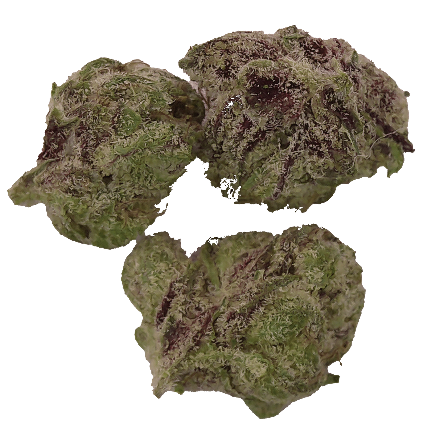 Commercial - Gelato Candy Hybrid Preroll