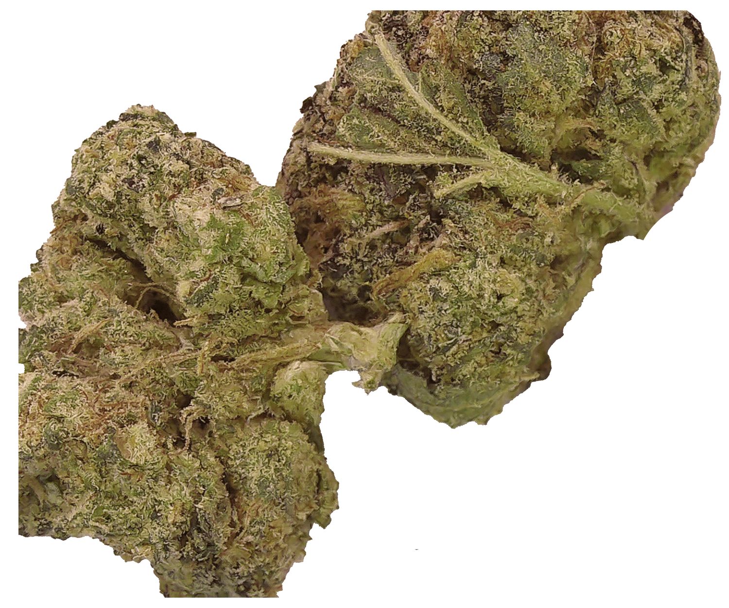 Wedding Cake  -  $25   3.5