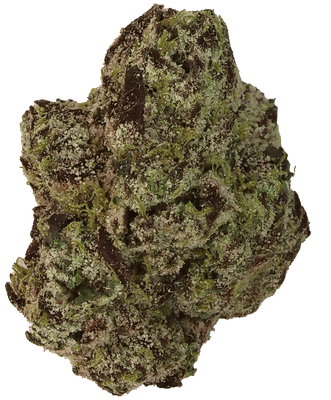 LAREDO Grand Daddy Purp /MD - $35 OTD