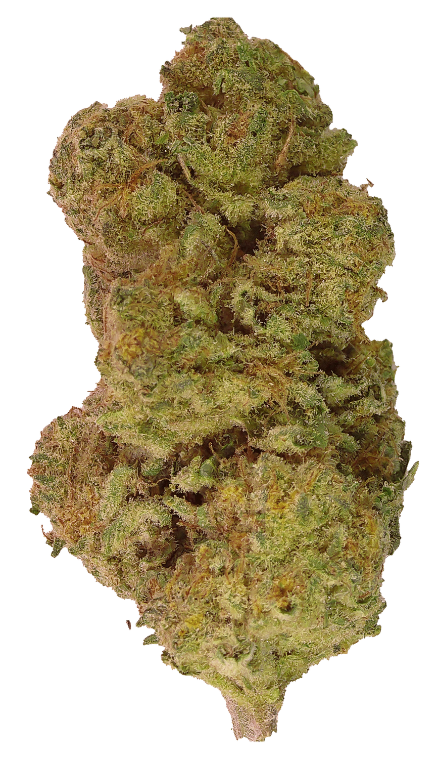 Mac1-Laredo