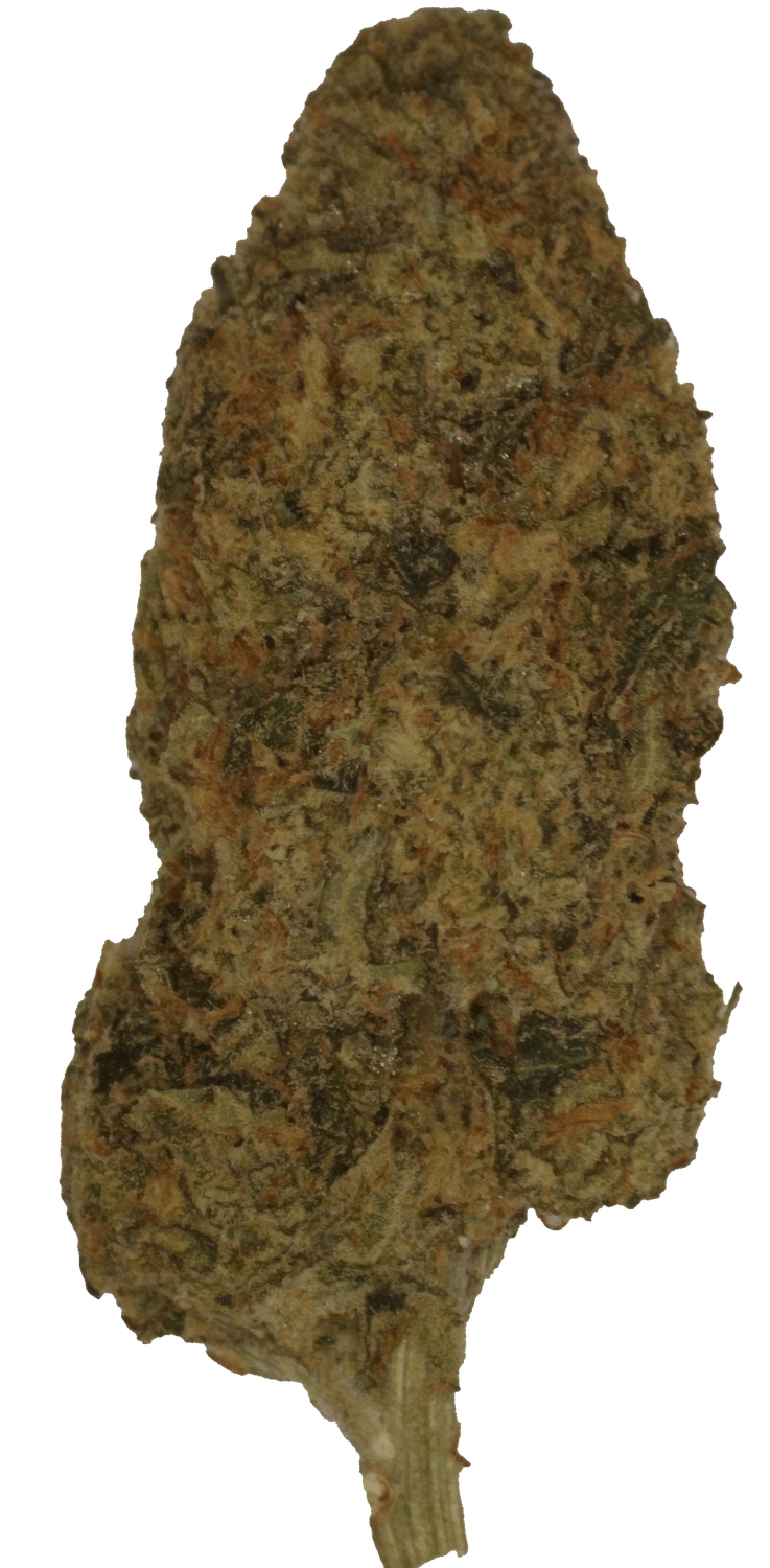 Kosher Kush
