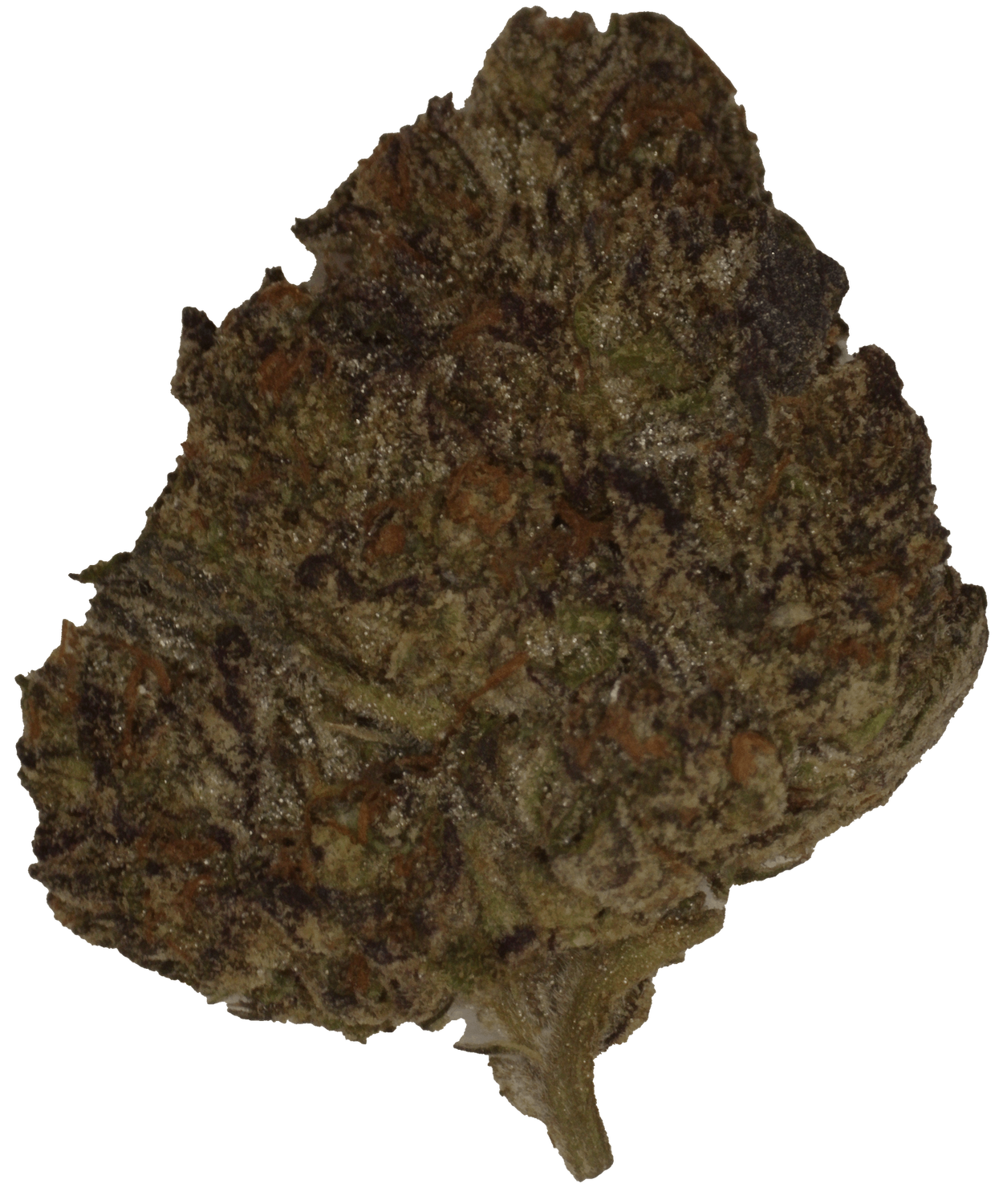LCG