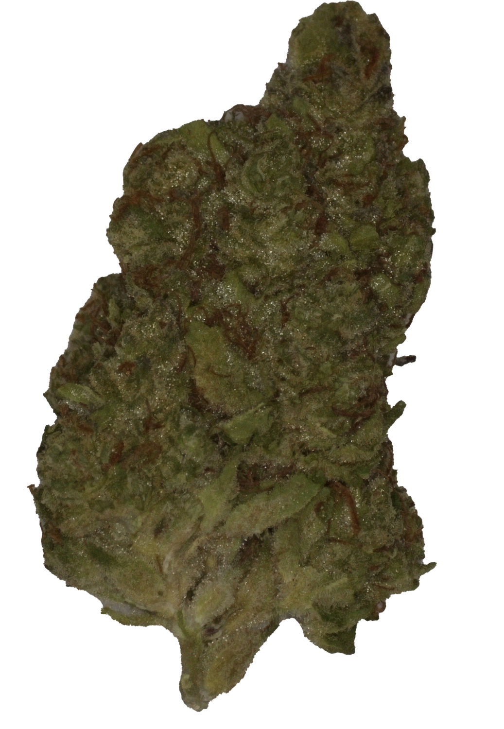 Cookie Casket