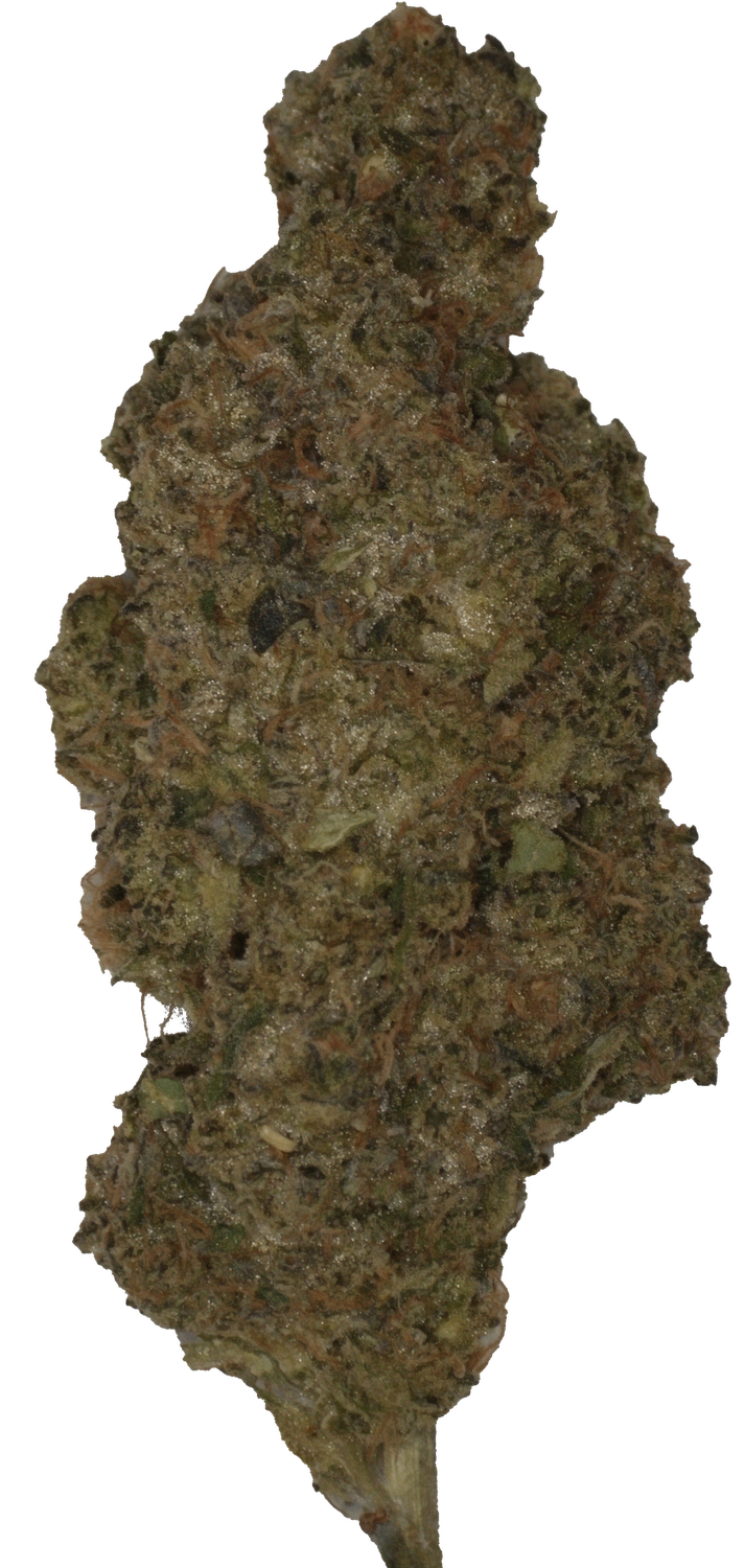 Jealousy Kush