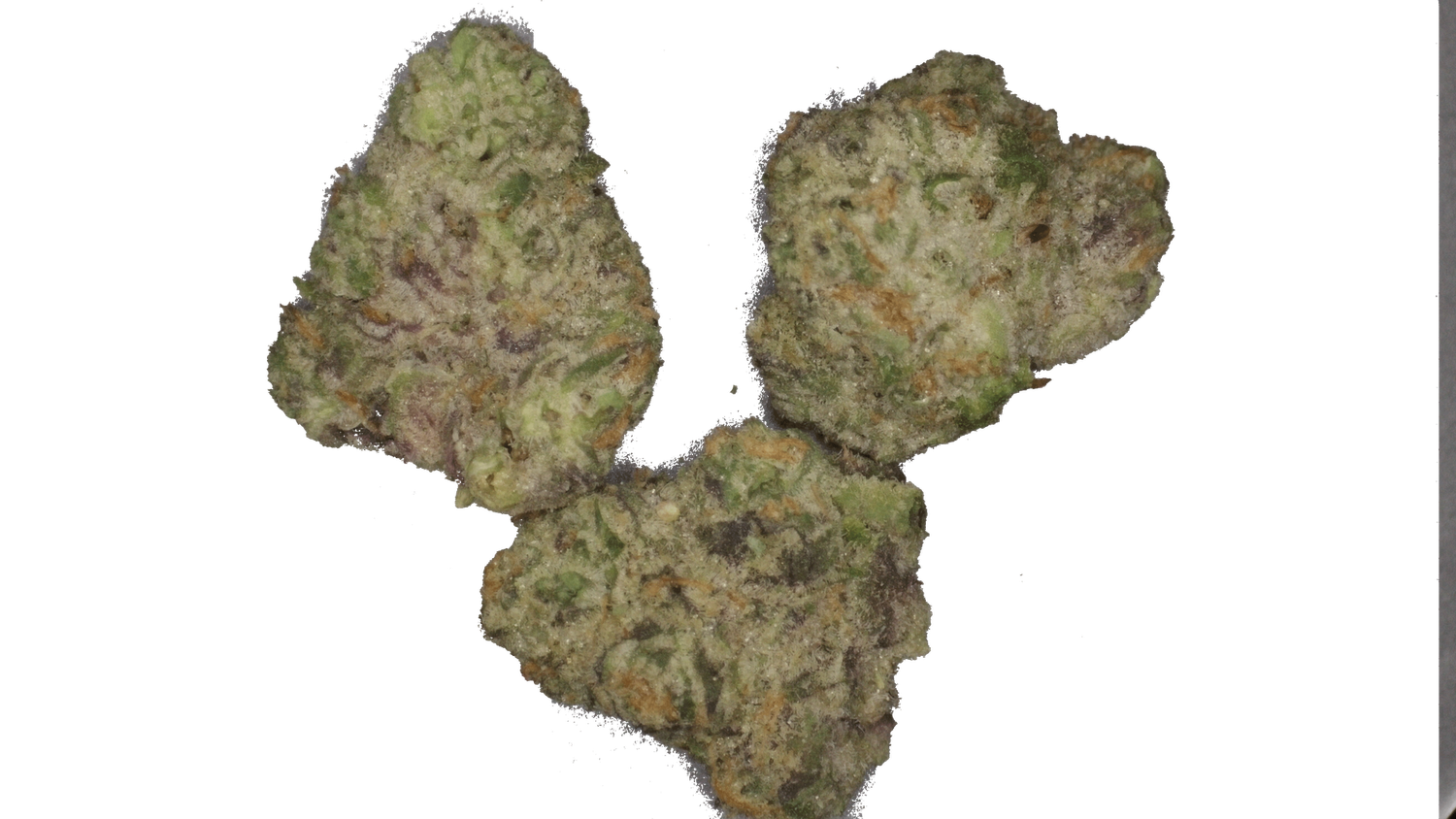 Mule Fuel - $25 3.5G
