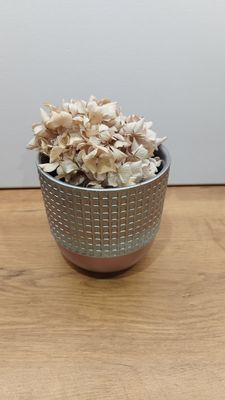 Cache pot