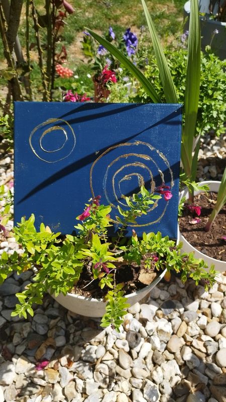 Les spirales de Lilou