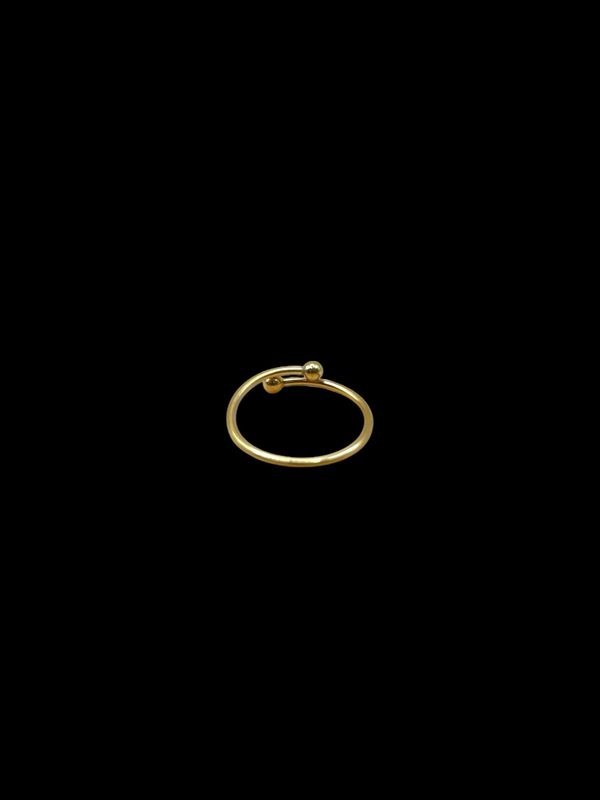 ANELLO FEDINA