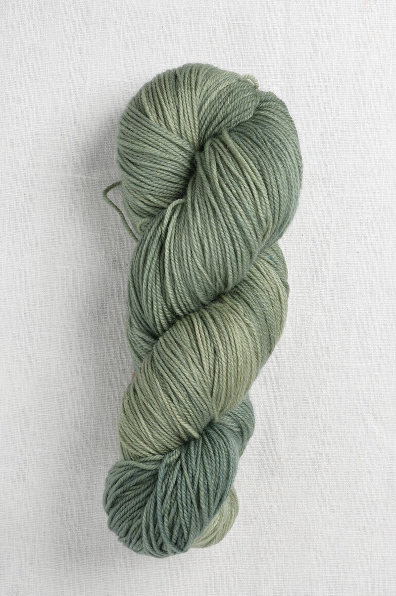 Alegria, A2357, Fern