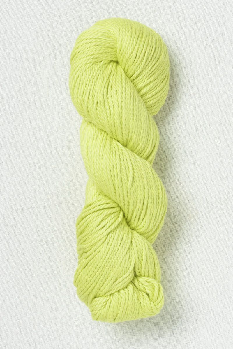 Amano Sami XL, 2402, Phosphorus