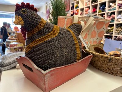 Black Sheep Knitting