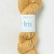 Iris, 11611, Buttercup