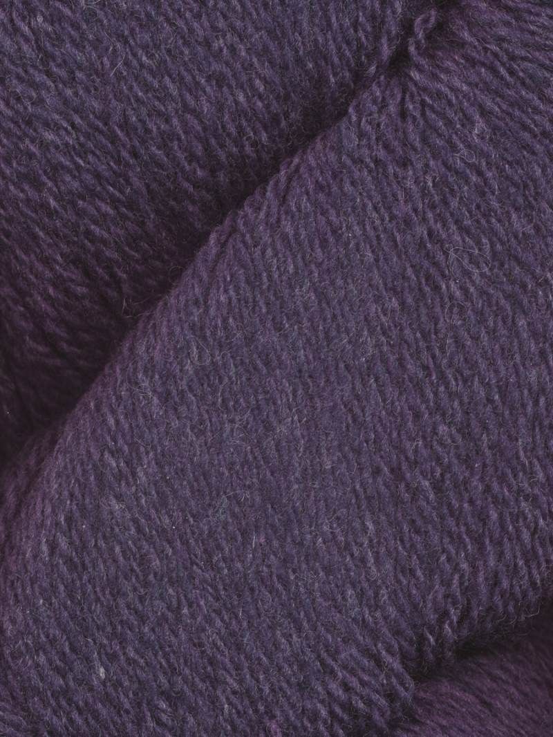 Patagonia, 111, Violet