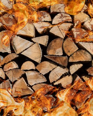 Gedroogd Haardhout