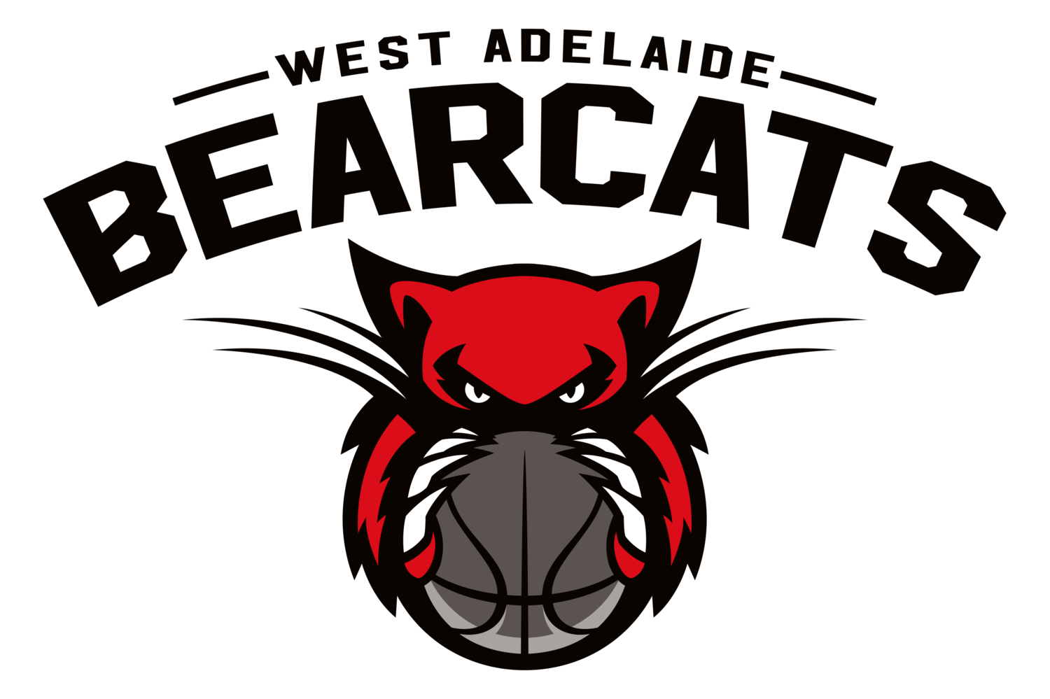 Fees for 2021 Winter Season - Under 10 Metro or District League Player