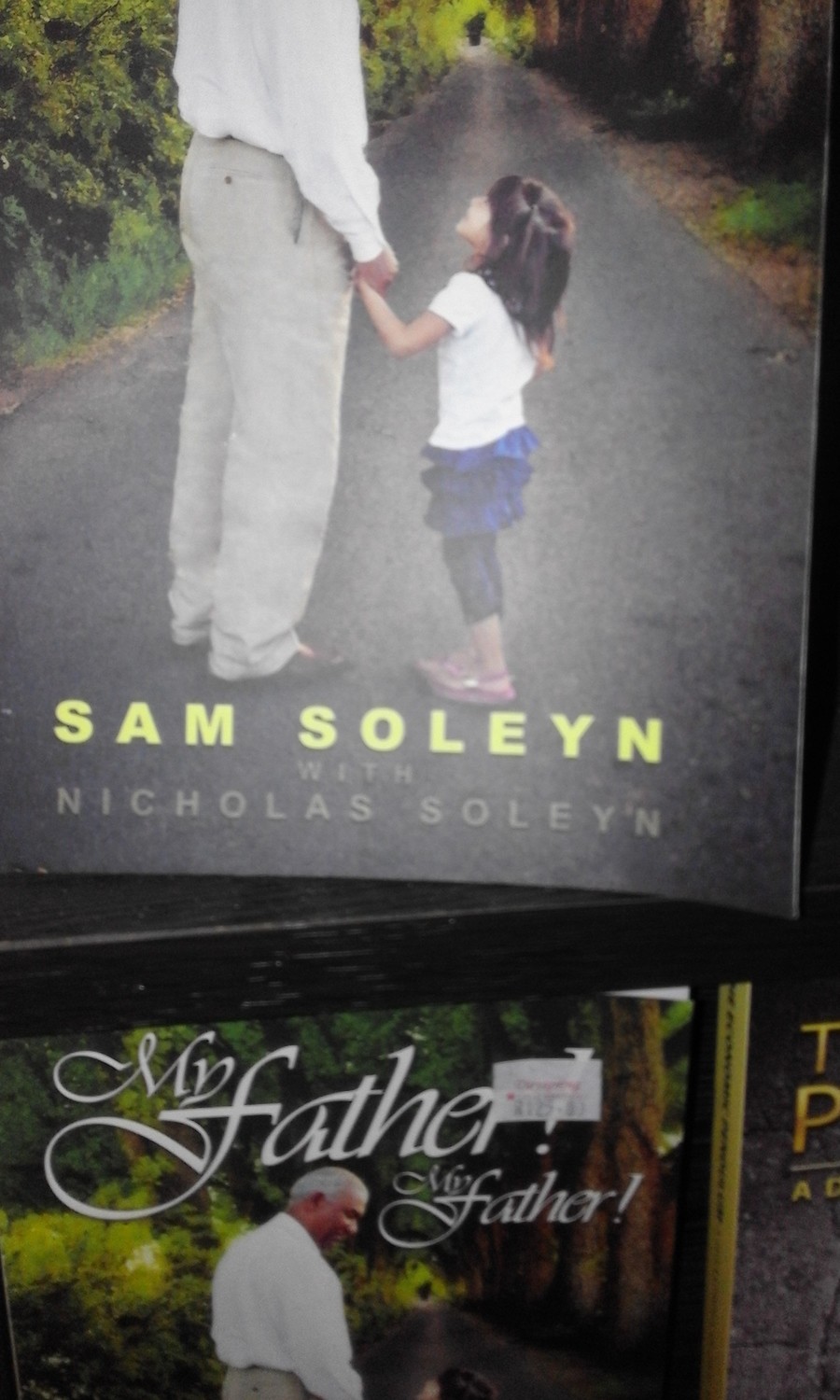 My Father, My Father by Sam Soleyn