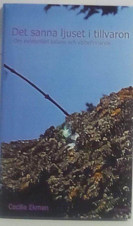 Det sanna ljuset i tillvaron