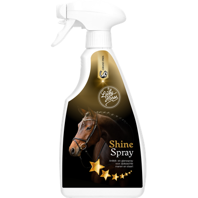 GRAND PRIX SHINE SPRAY